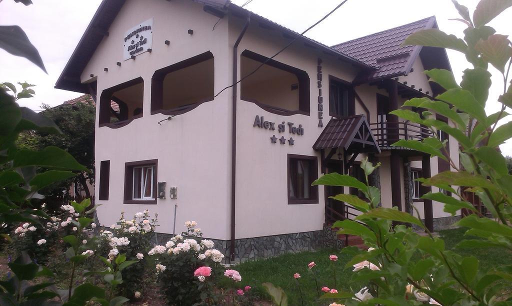 Pensiunea Alex Si Tedi Horezu Habitación foto